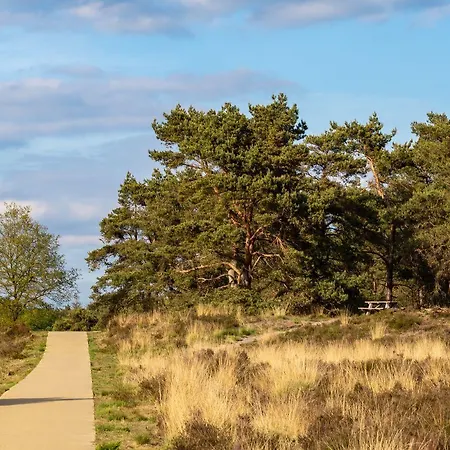 Chalé 2-person Heuveltjes Voorthuizen