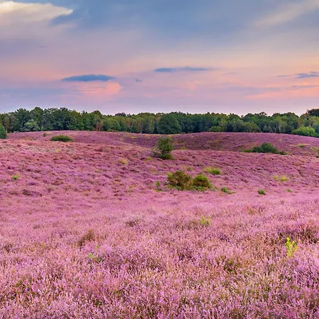 2-person Heuveltjes * Voorthuizen
