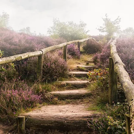 2-person Heuveltjes *