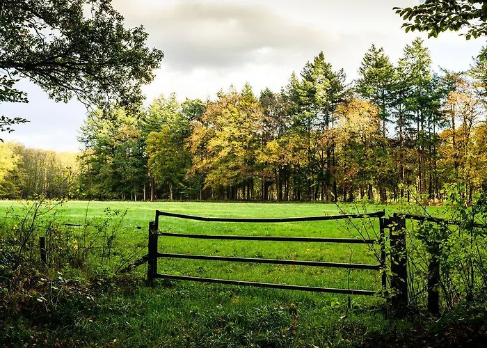 2-person Heuveltjes *