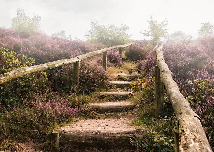 2-person Heuveltjes *