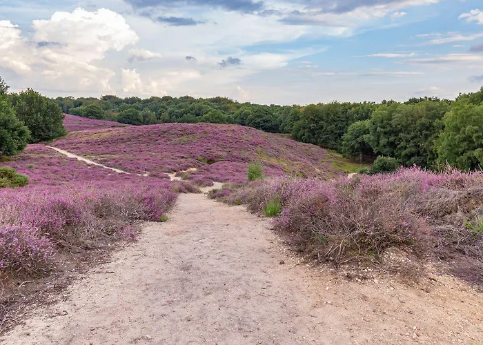 2-person Heuveltjes * Voorthuizen
