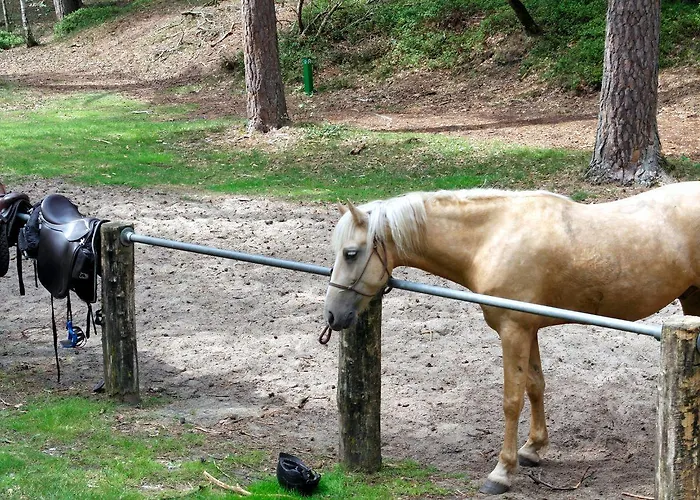 Alpstuga 2-person Heuveltjes Voorthuizen